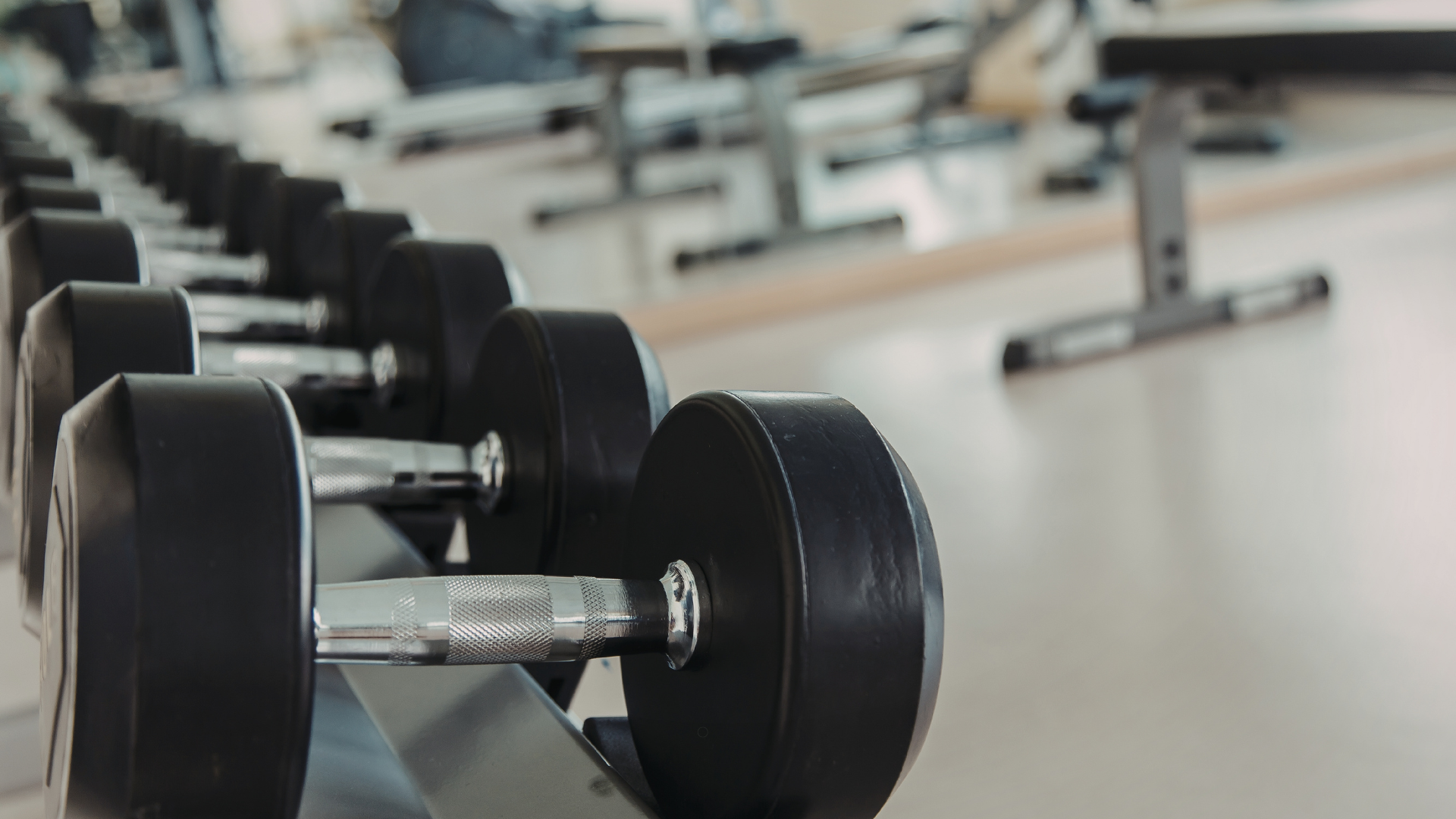Close-up of a row of dumbbells on a rack in a modern gym setting.