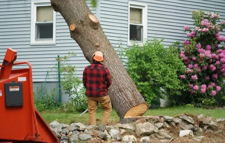 Worker in orange hard hat and red plaid shirt stands beside a cut tree trunk in a yard.