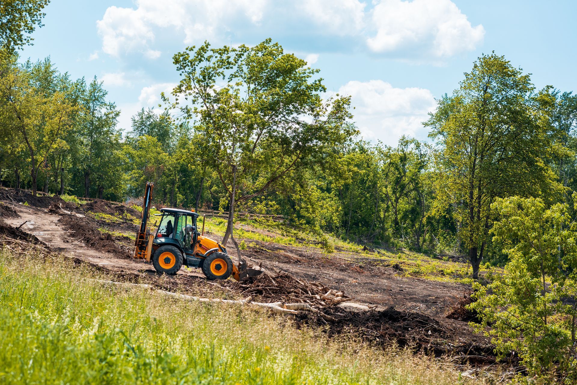 Tractor grading a dirt field beside green trees under a blue sky