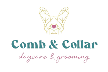 Geometric dog logo with pink heart and “COMB & COLLAR Daycare & Grooming” text