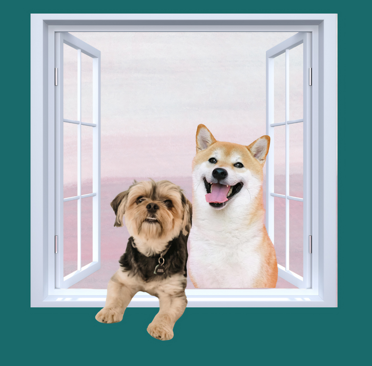 Two dogs sitting in an open white window frame on a teal background