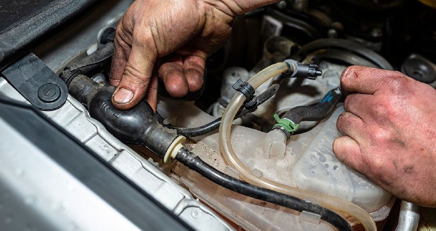 Heater Hose Replacement - Learn More