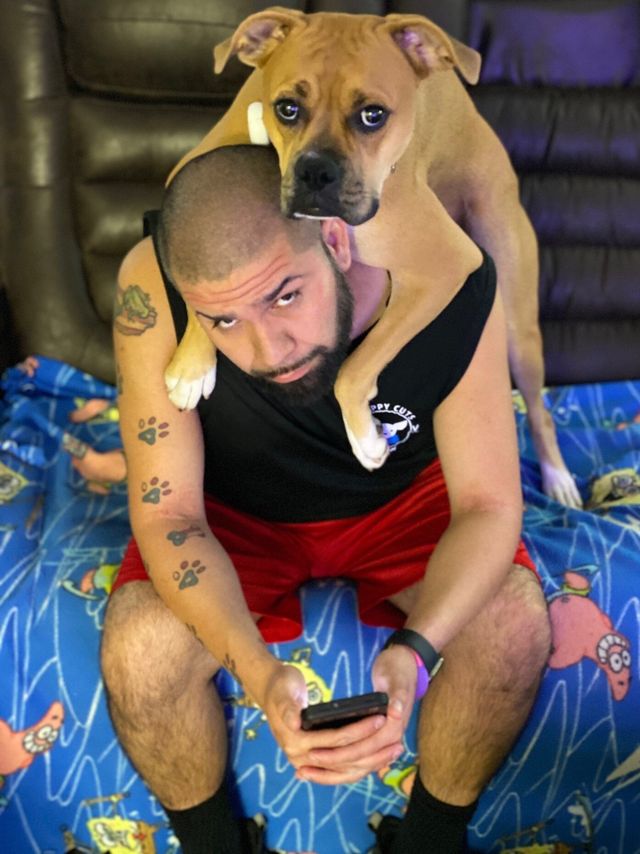 hectors house dog grooming