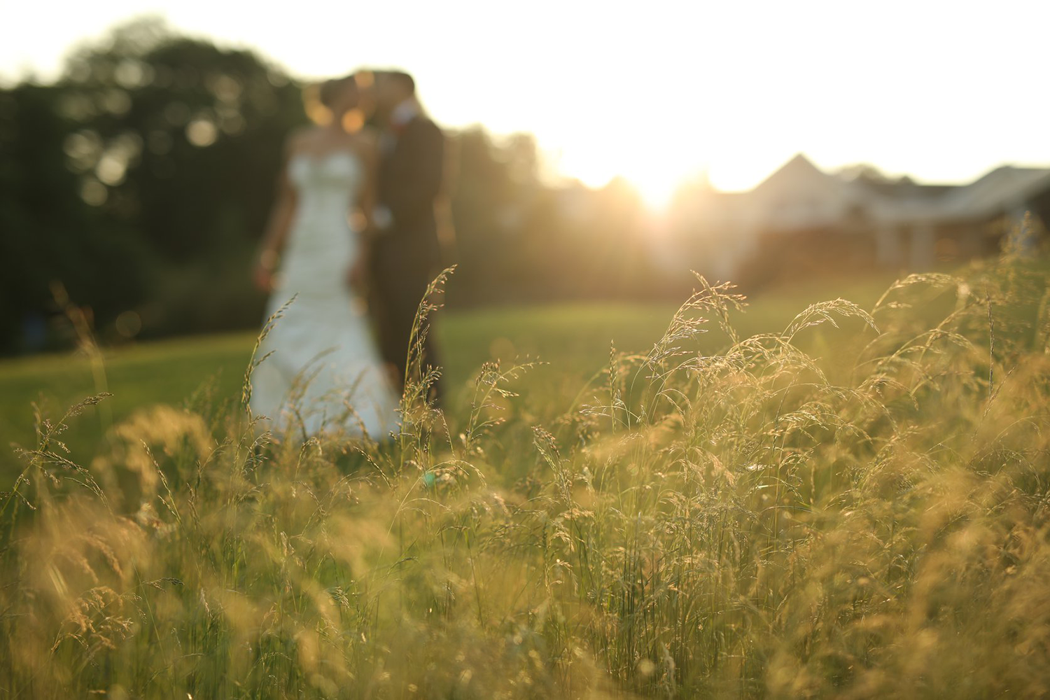 A bride and groom are standing in a field of tall grass at sunset.