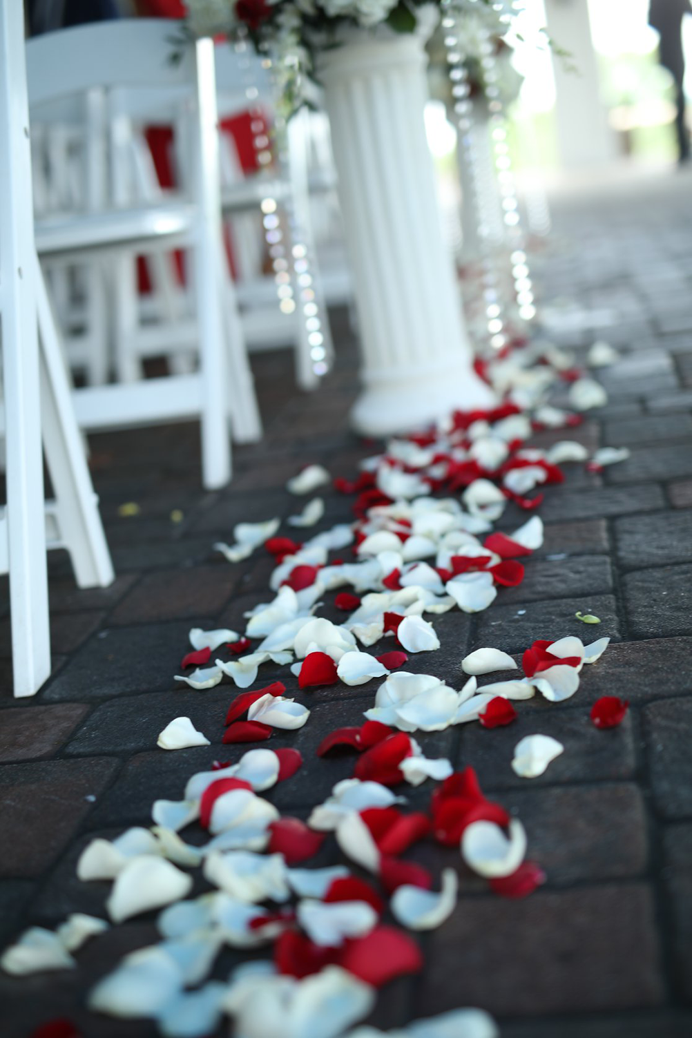 Red and white rose petals are laying on the ground