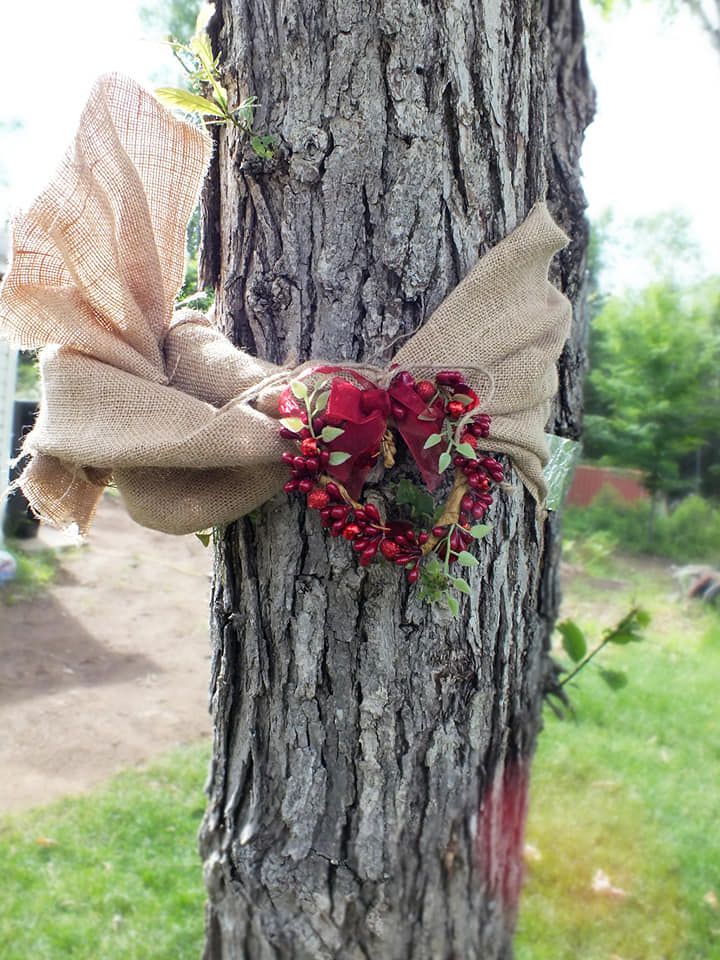 A tree with a wreath hanging from it.