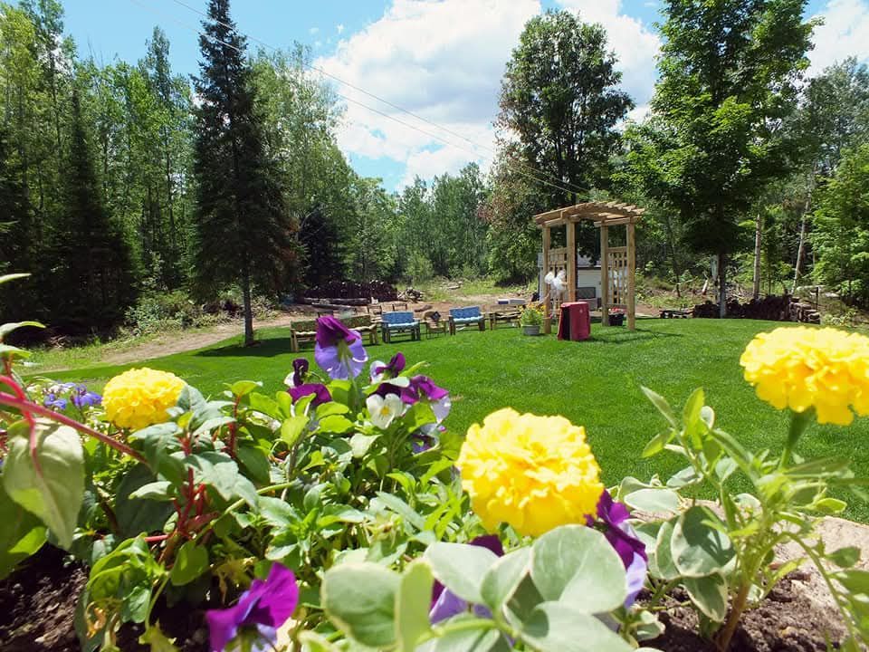 Yellow and purple flowers in a garden with a gazebo in the background