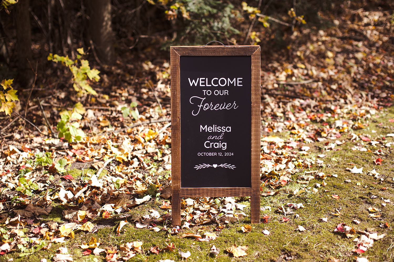 A welcome sign is sitting in the middle of a field surrounded by leaves.
