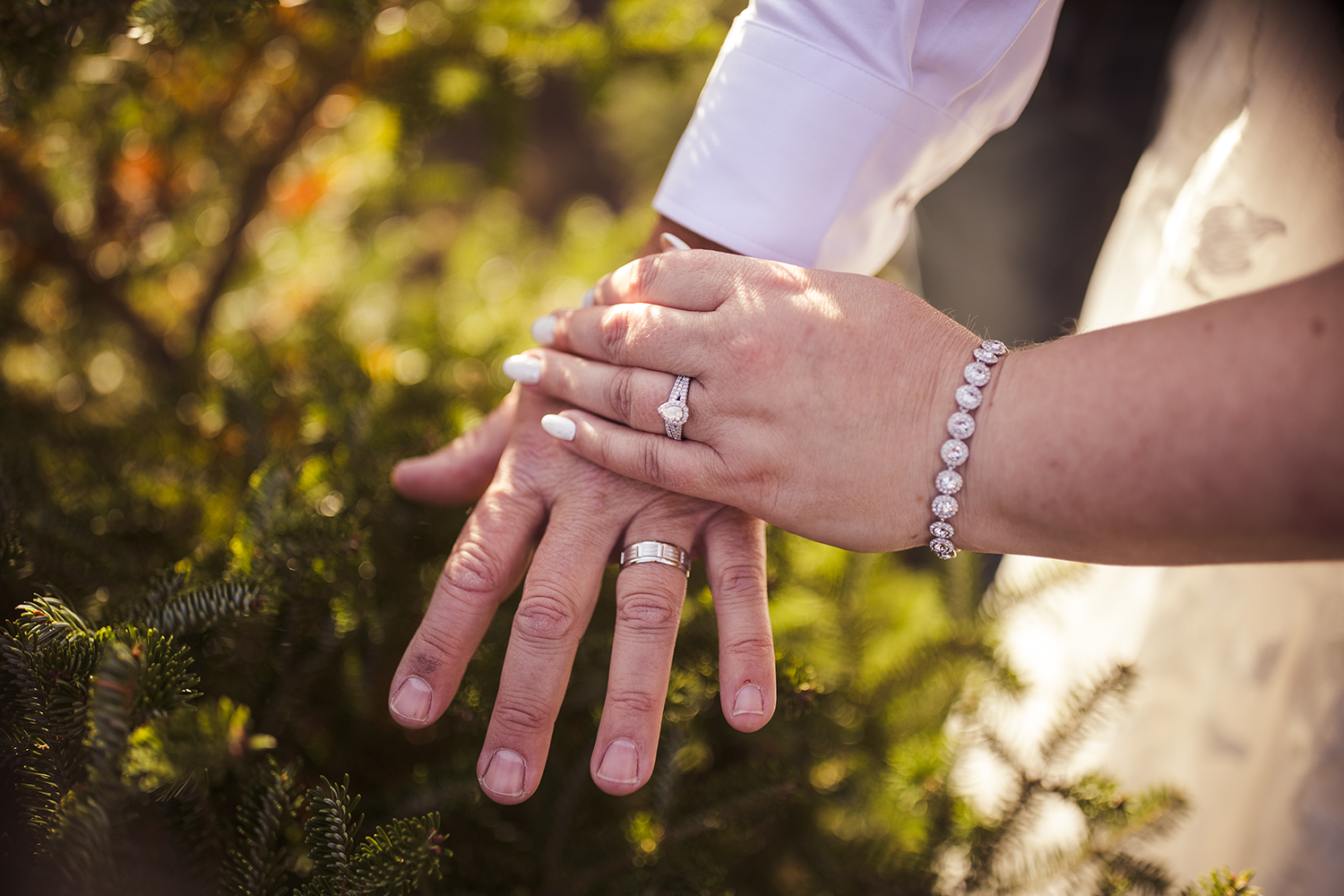 A bride and groom are holding hands with their wedding rings on their fingers.