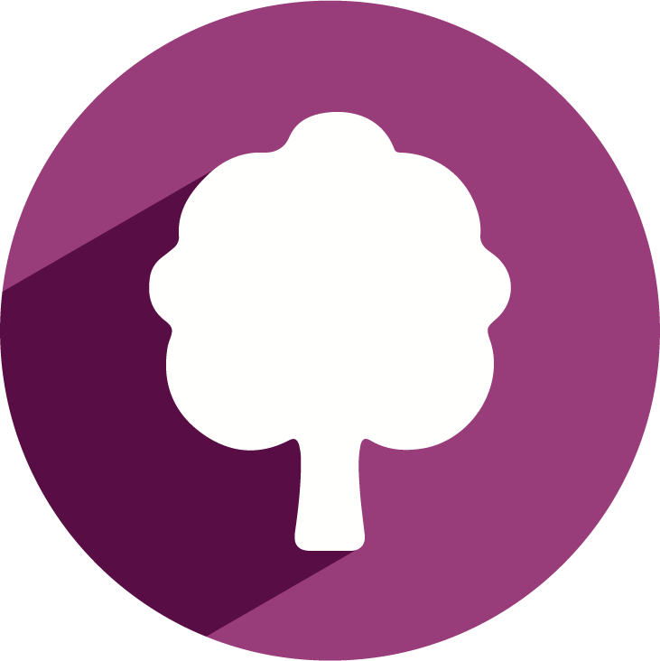 White tree silhouette in a purple circle with a long shadow.