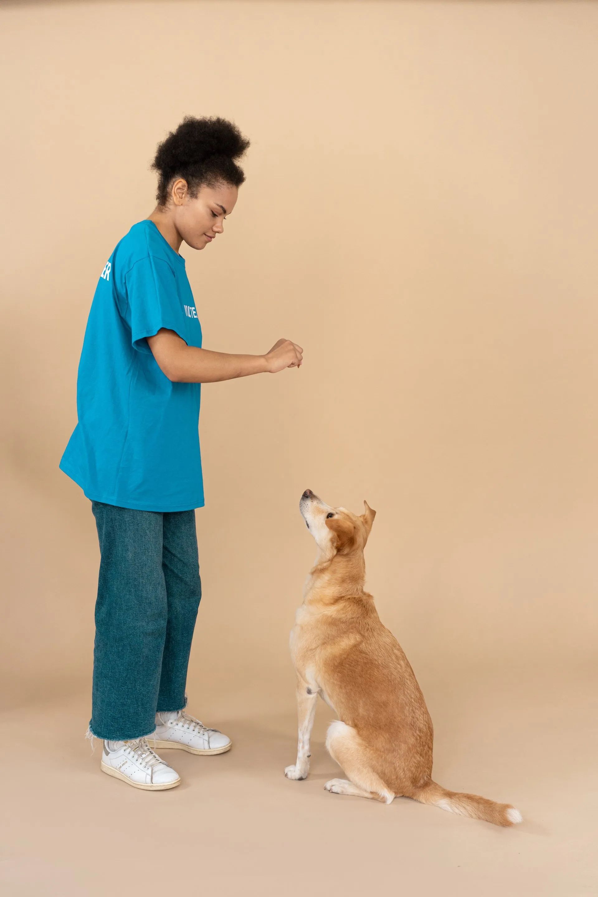 Woman in blue shirt training dog, holding treat, beige background.