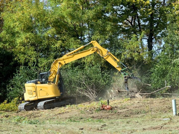 Land Clearing