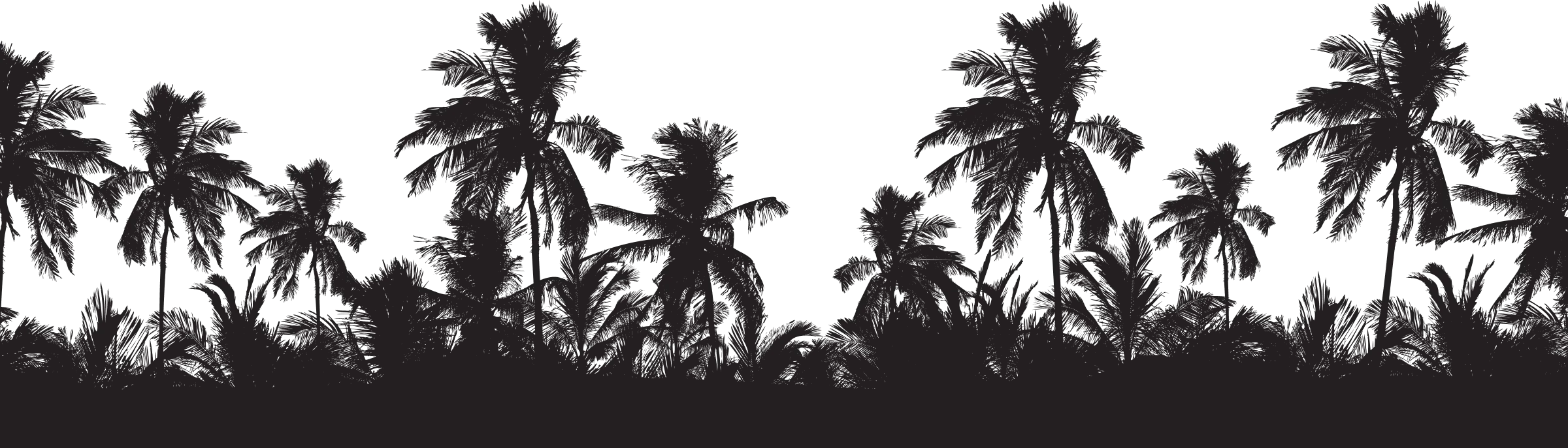 Silhouette of palm trees and other tropical foliage against a white sky.