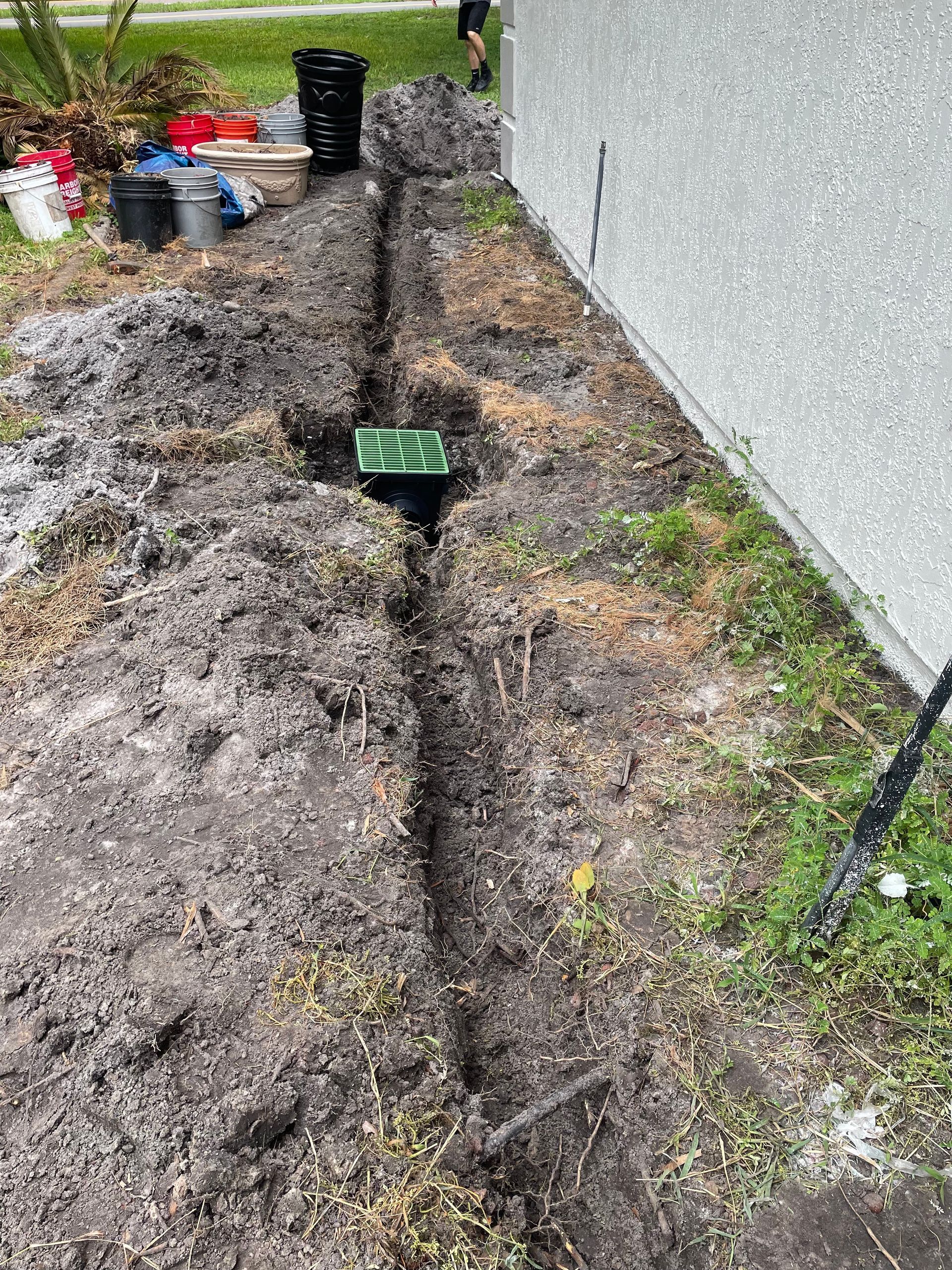 Grassy lawn, metal drainage grate, and brick walkway.