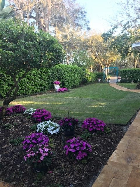 Garden with purple and white flowers, green grass, and hedges under a bright sky.