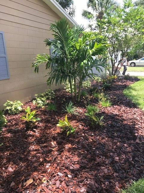 A garden bed with mulch and various plants in front of a tan house. A person is visible in the background.