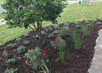 A landscaped garden bed with various plants and mulch next to a brick walkway.