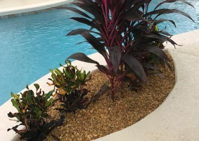 Plants in a bed of tan pebbles border a pool, including red and green foliage.