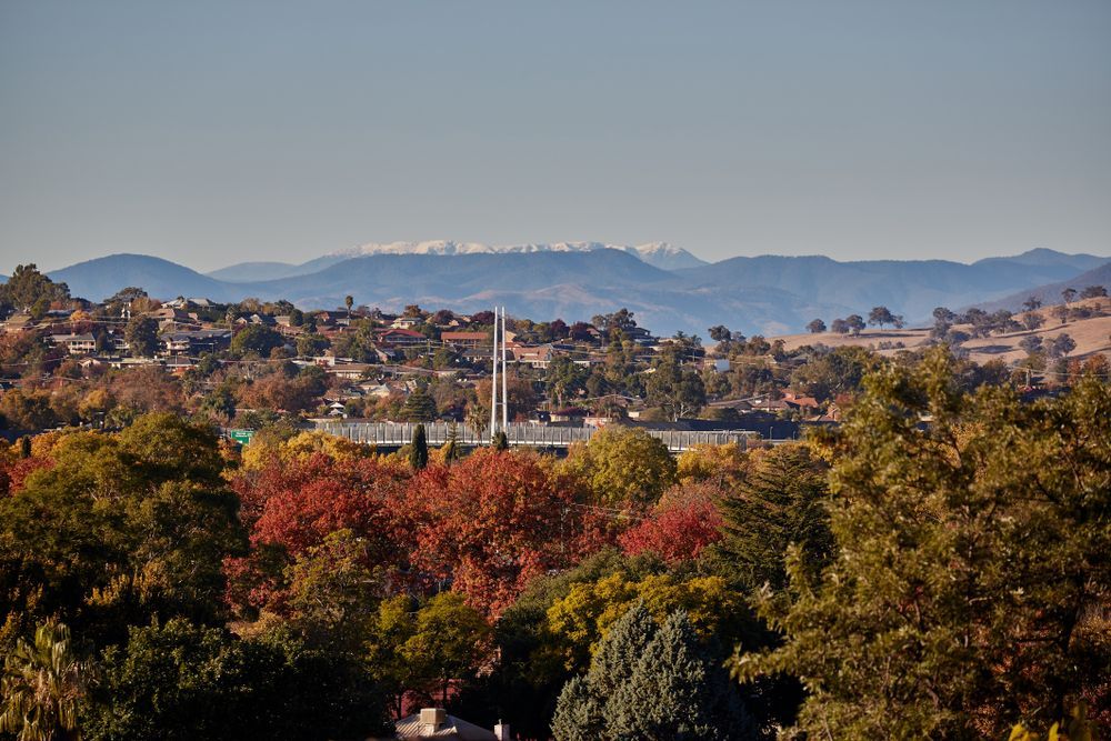 Scenic View of Bridge Amidst Trees in Albury City — Event Hire in Albury, NSW