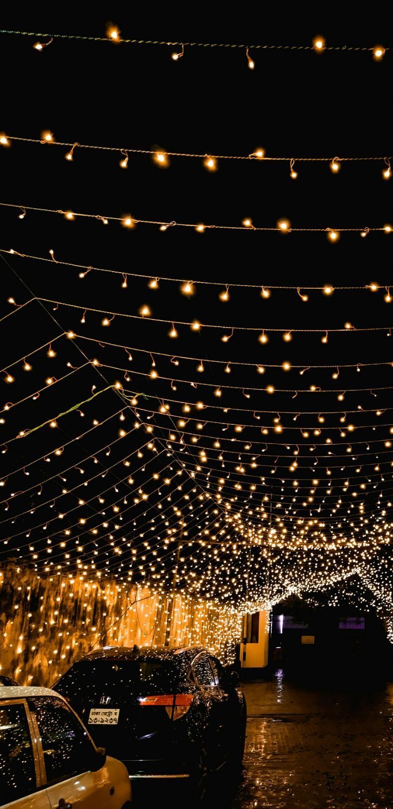 Elegant Decoration with Fairy Lights — Event Hire in Wodonga, NSW