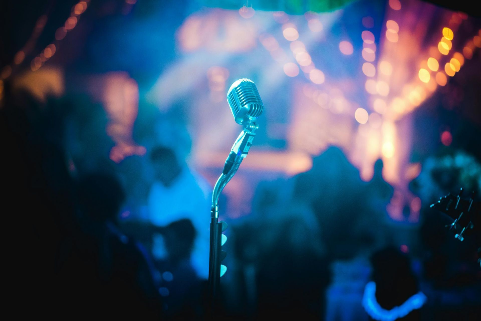 Close-Up View of A Microphone in Front of a Crowd — Event Hire in Wodonga, NSW