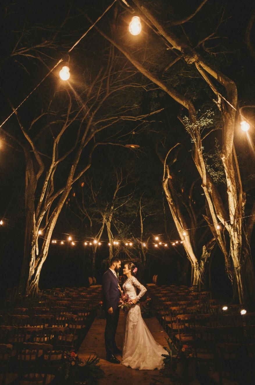 A Bride and Groom are Standing Under a Canopy of Trees at Night — Event Hire in Wodonga, NSW