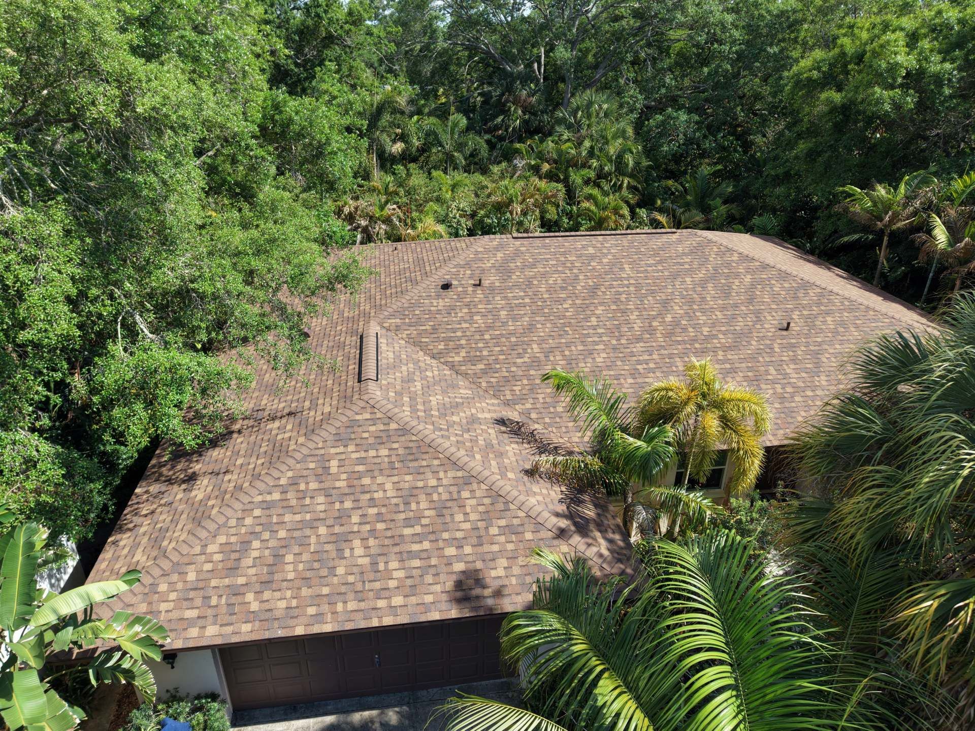 Thatched-roof house surrounded by dense green tropical trees