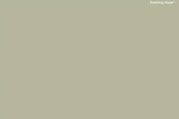 A close up of a white background with the word evening rose on it.