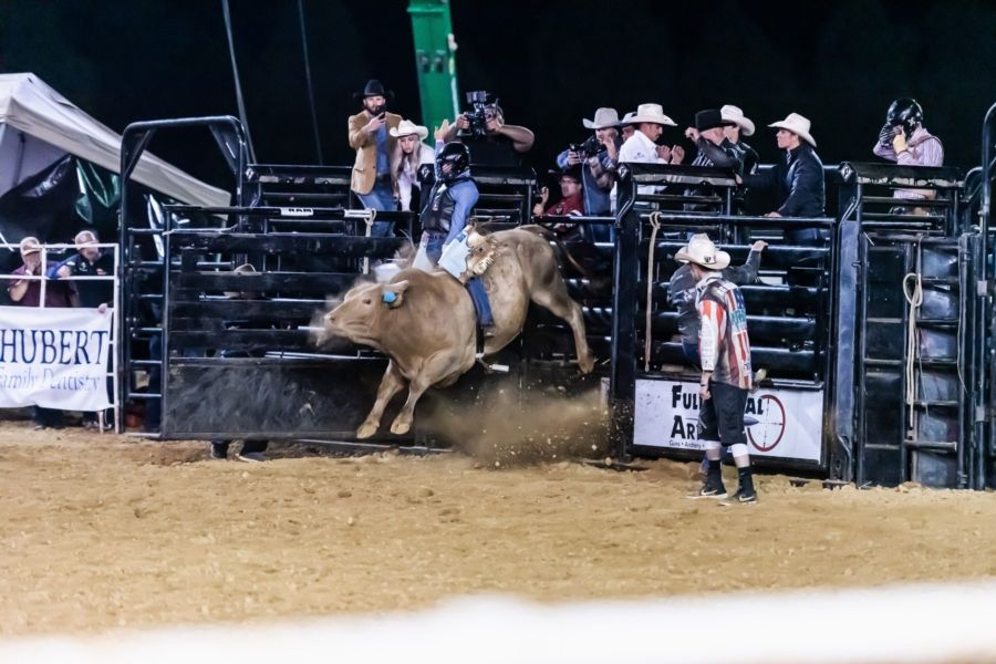 Evansville's River City Rodeo