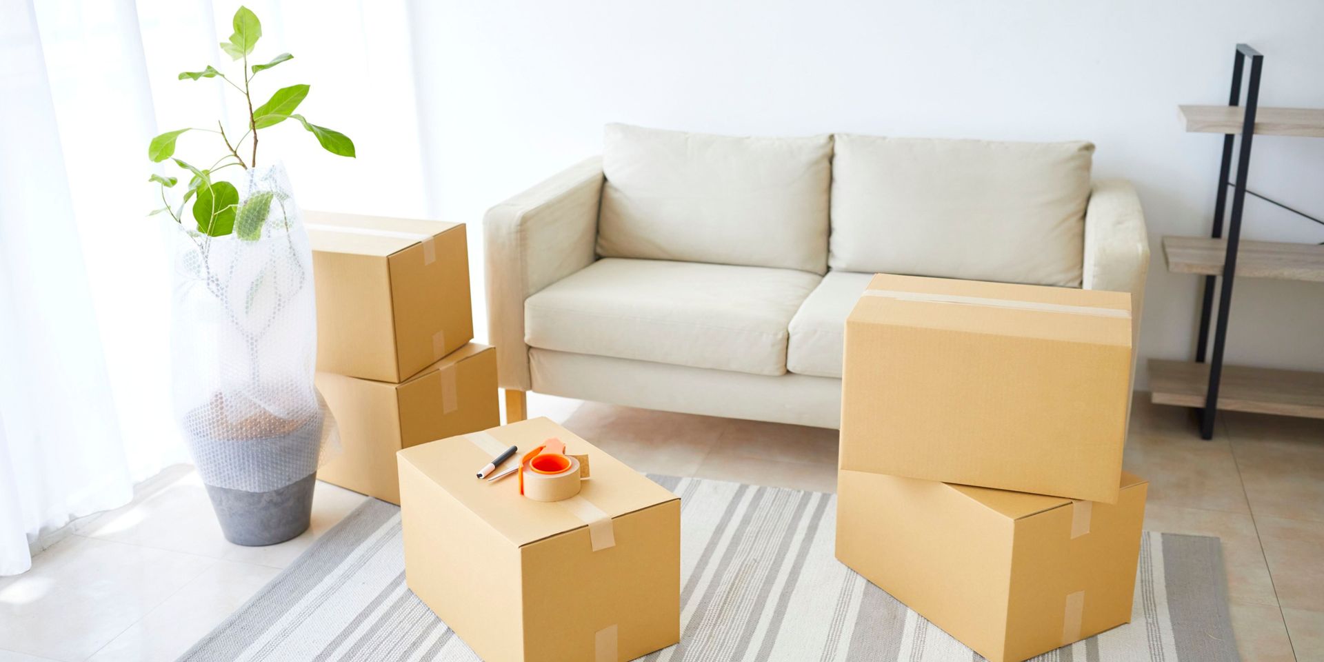 Moving boxes stacked in a living room with a couch, plant, and rug.