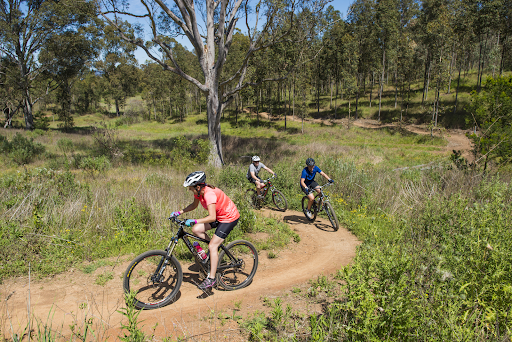 Biking Adventures Across Sydney
