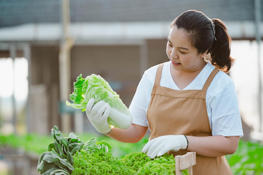 Farm to Table Catering: Explore Sydney's Freshest Trend