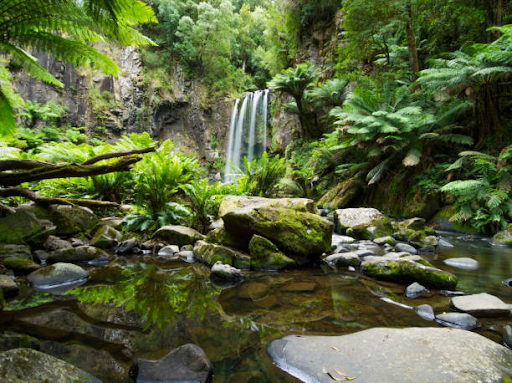 Must-Visit Stops Along the Great Ocean Road
