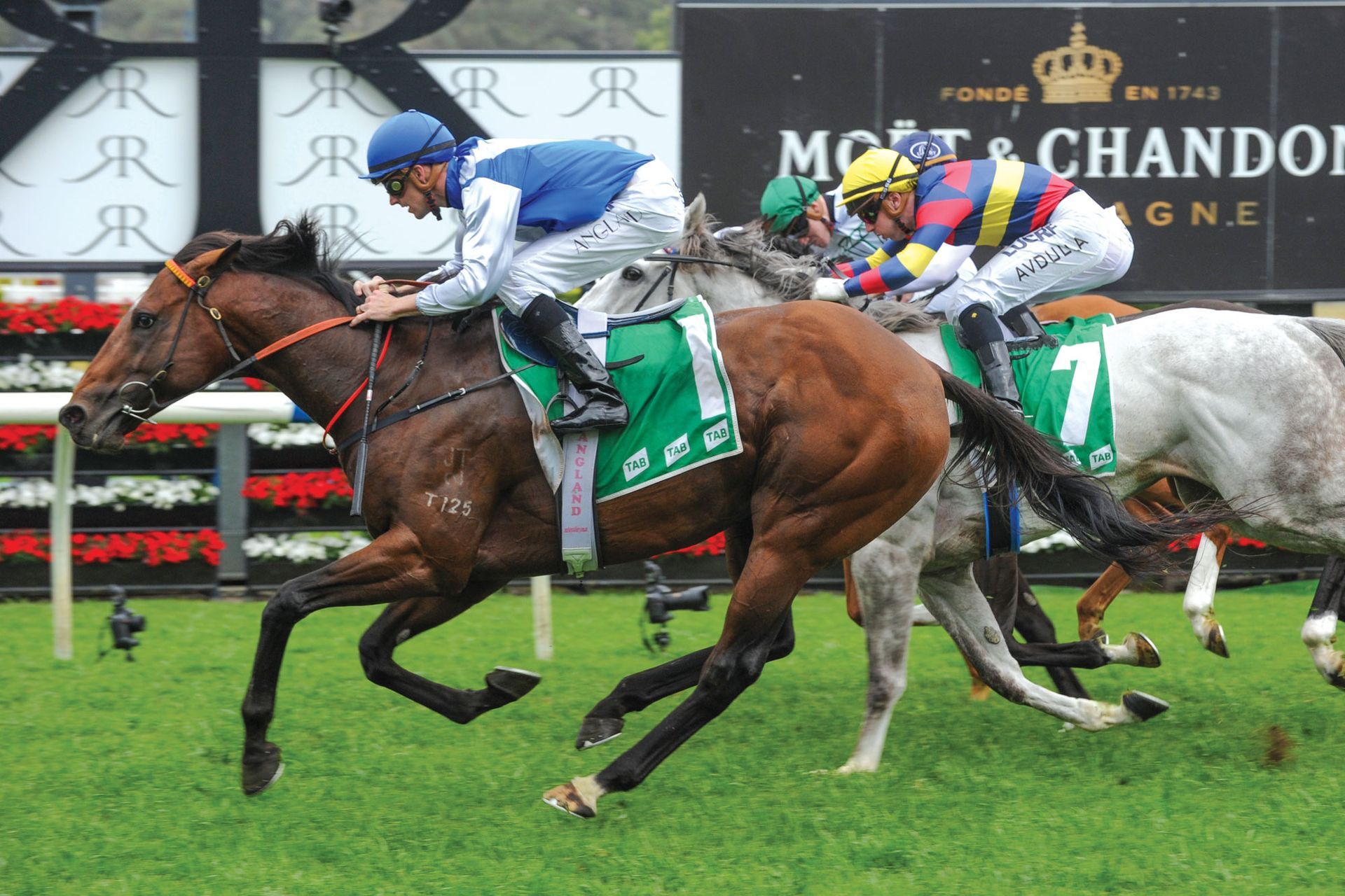 Oaklands Stud