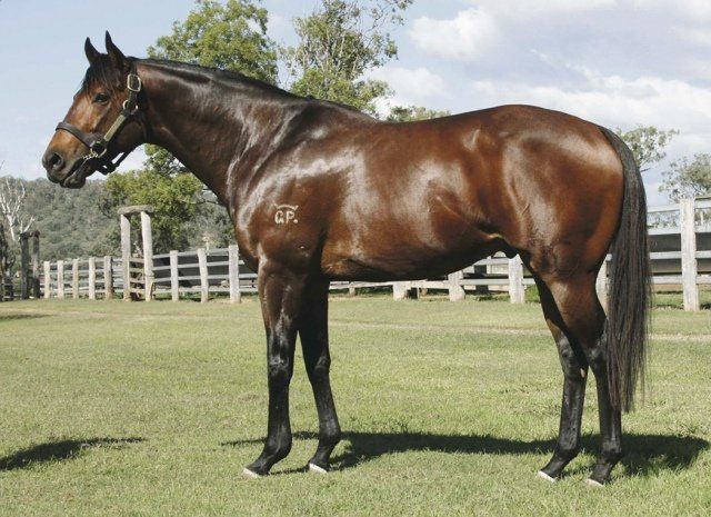 Clear Mountain Fairview