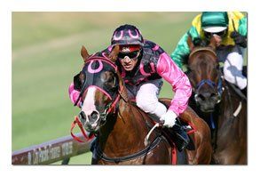 Country Racing Helps Royal Flying Doctors
