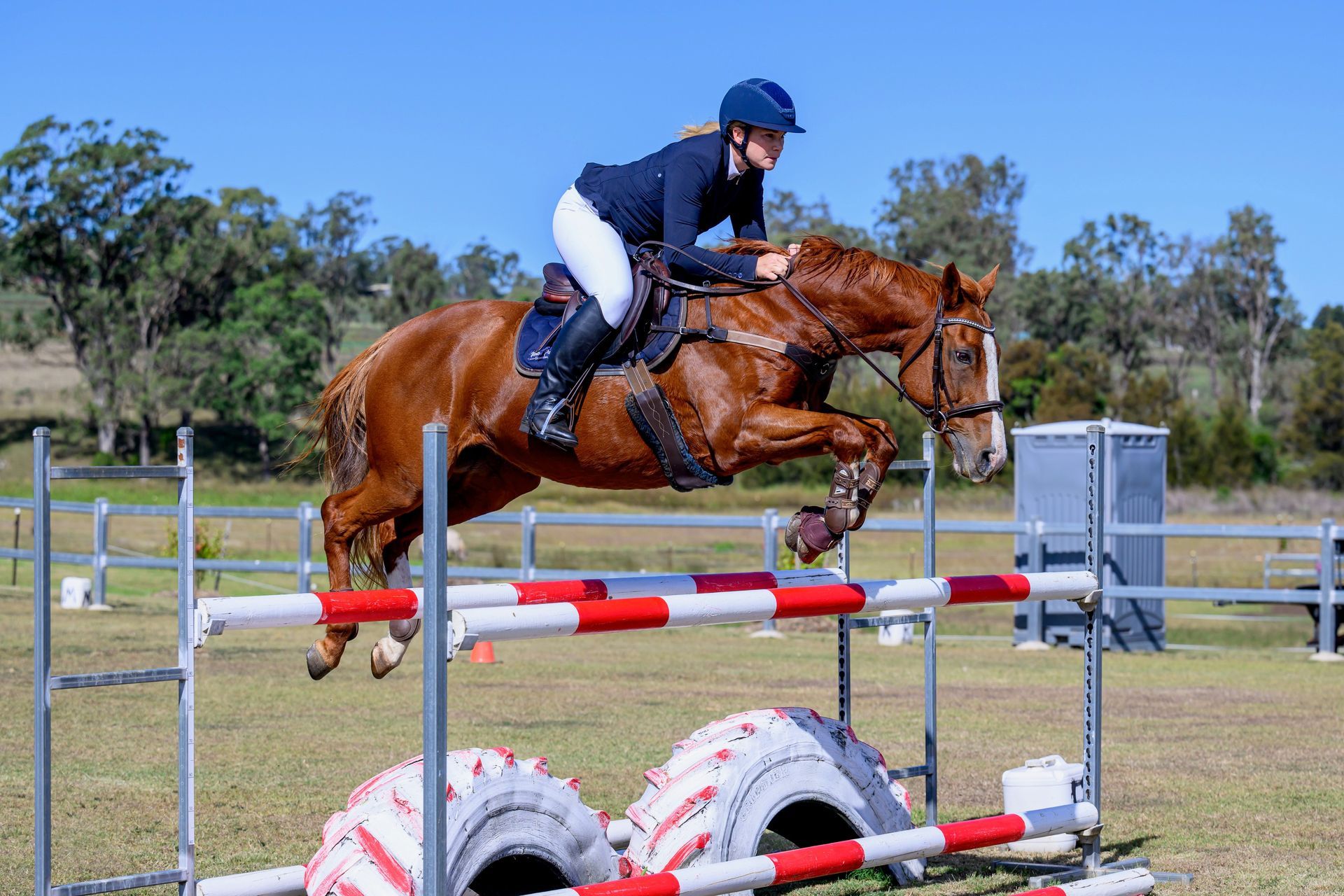 Qld Off The Track Cup