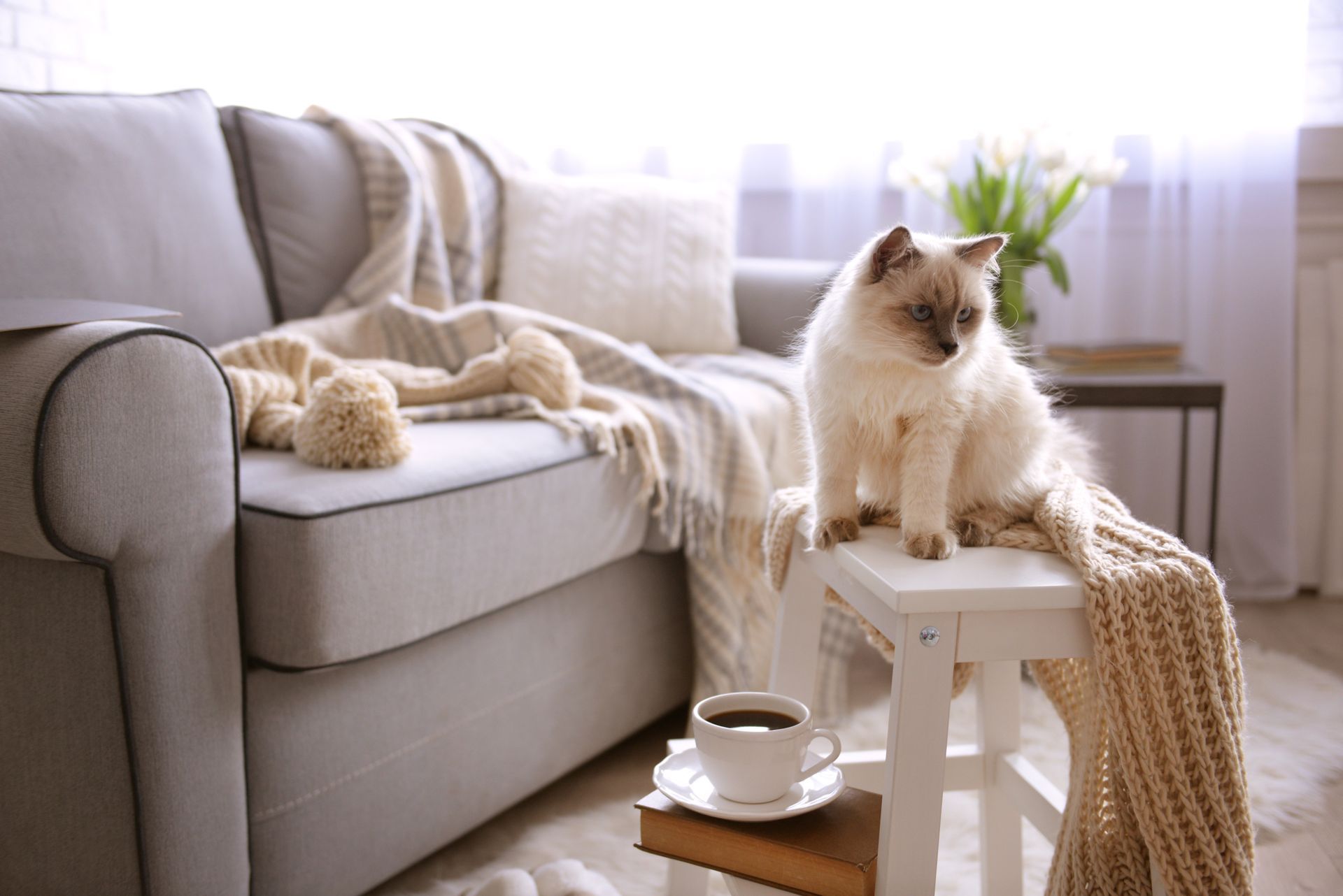 A cat is sitting on a stool in a living room next to a couch.