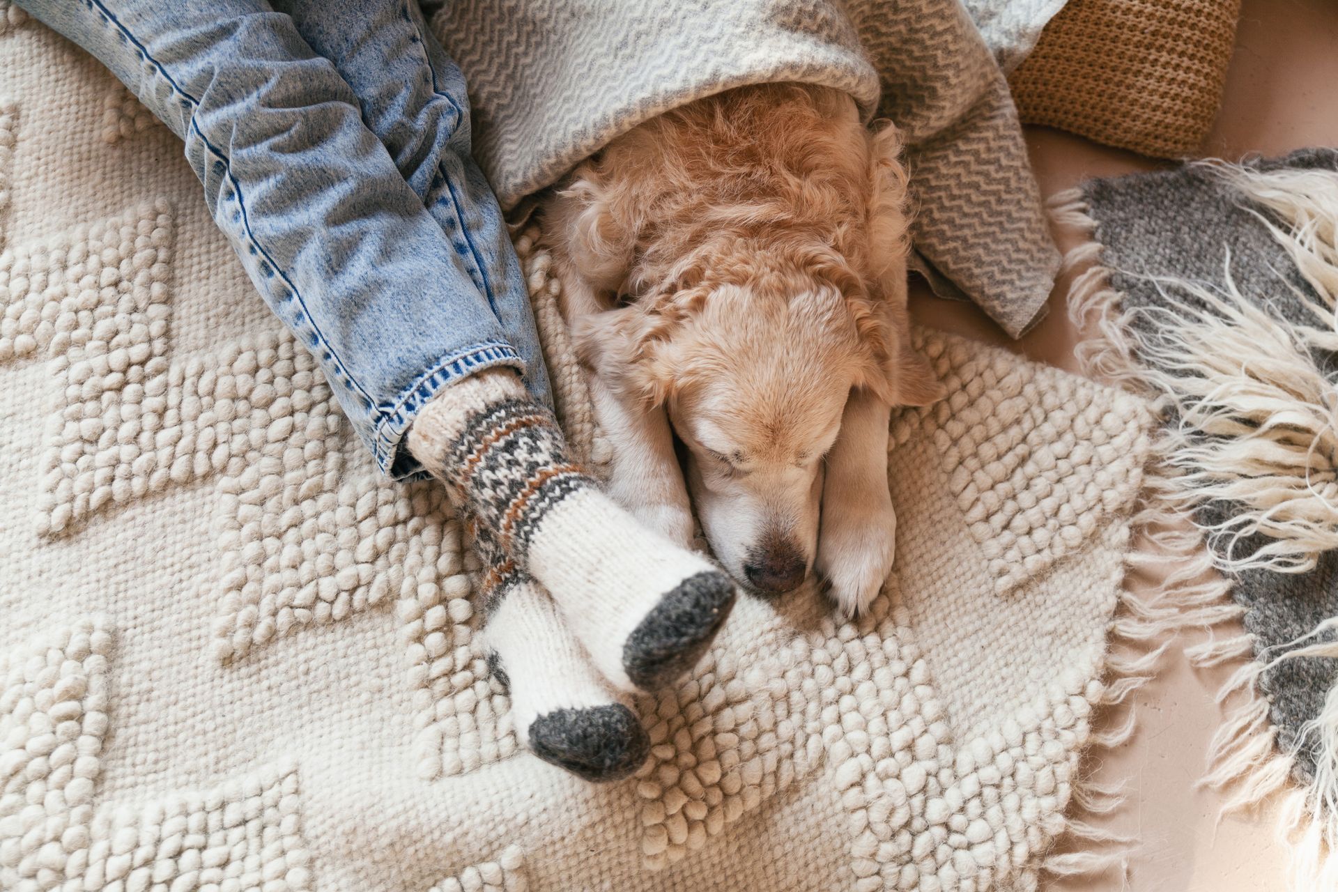 A dog is sleeping on a blanket next to a person 's feet.