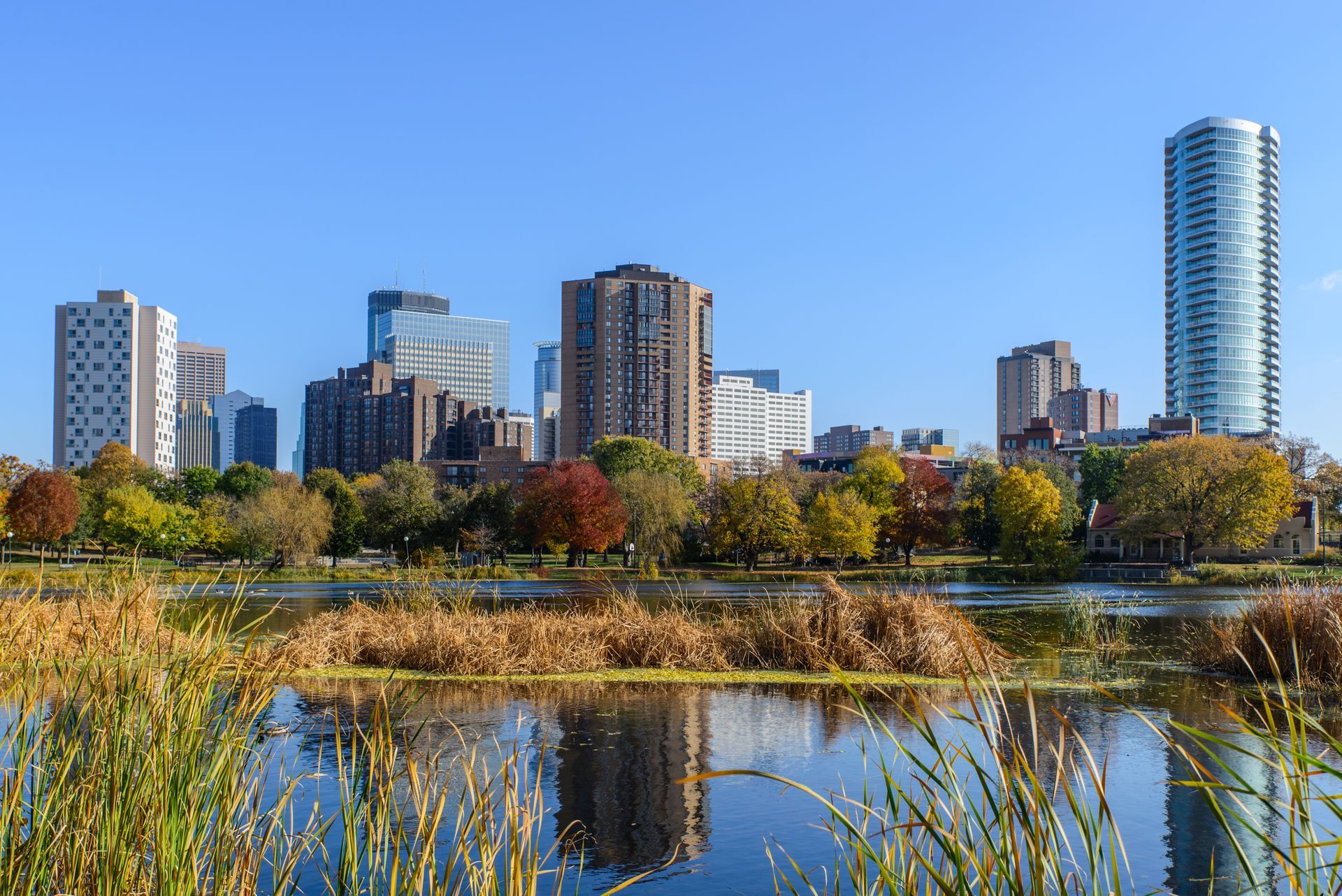 A city skyline is reflected in a lake surrounded by tall grass.