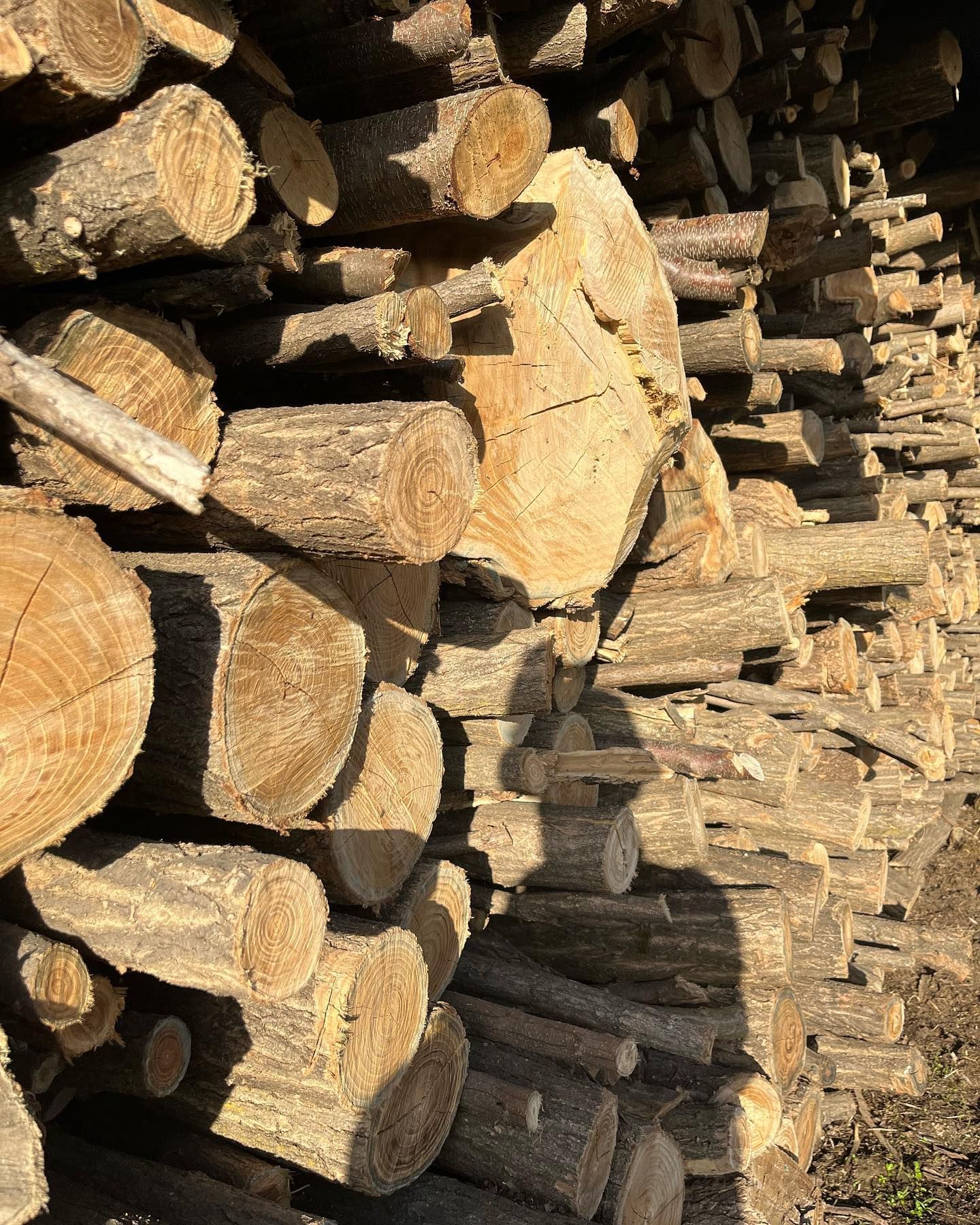 Legna tagliata da ardere
