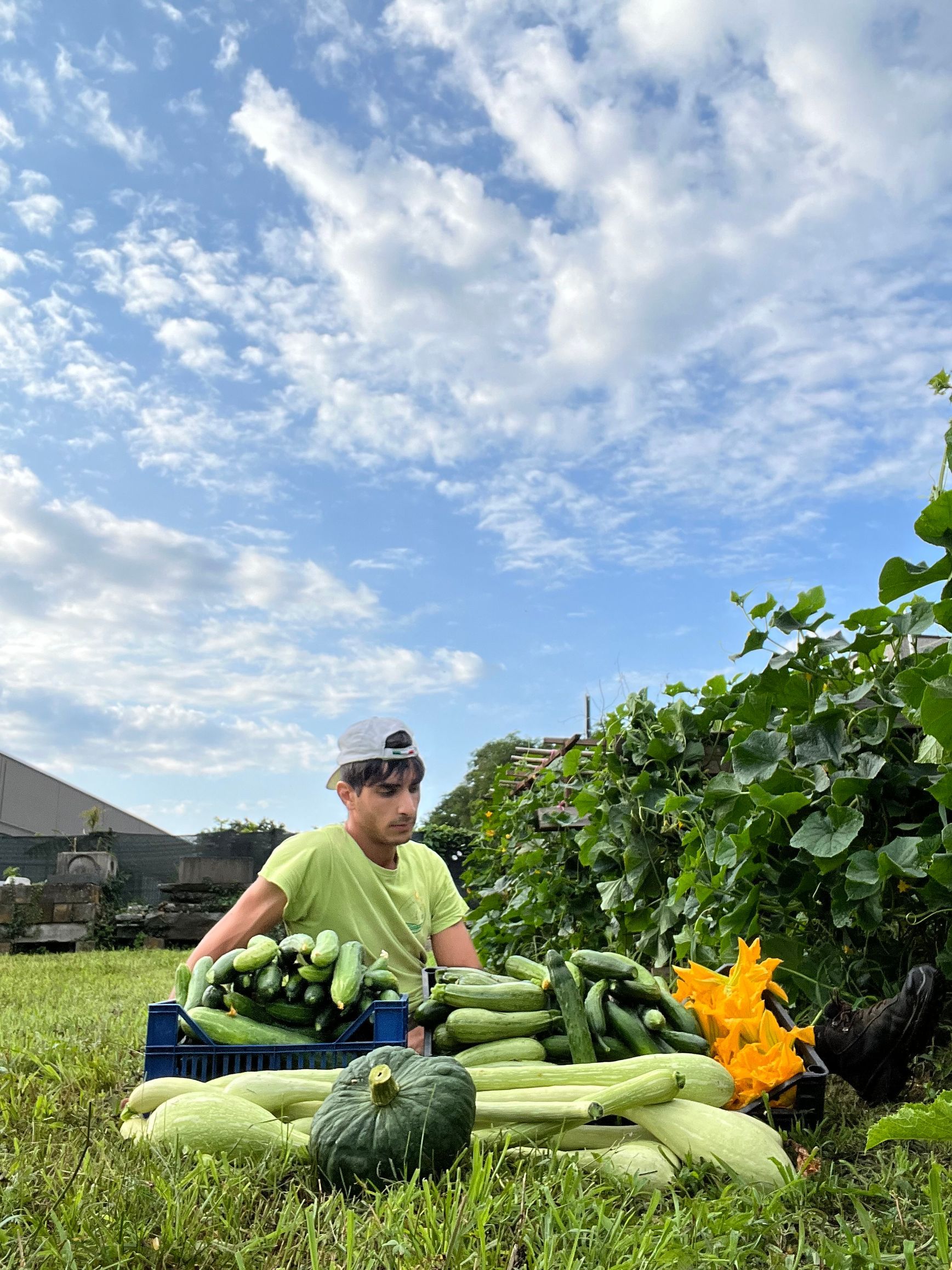 Titolare Stefano dello Stelo