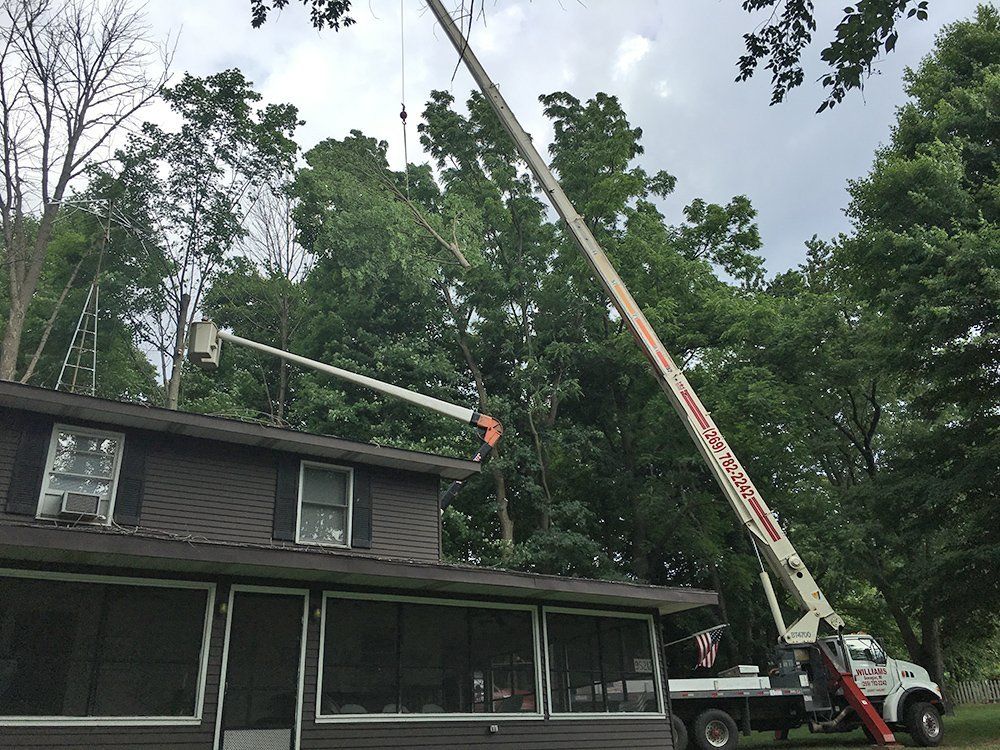 A crane lifting a tree branch — Dowagiac, MI — Williams A-1 Expert Tree Service