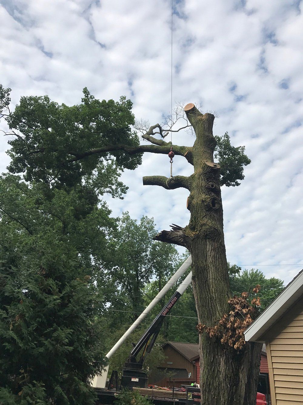 Cutting down a tree — Dowagiac, MI — Williams A-1 Expert Tree Service