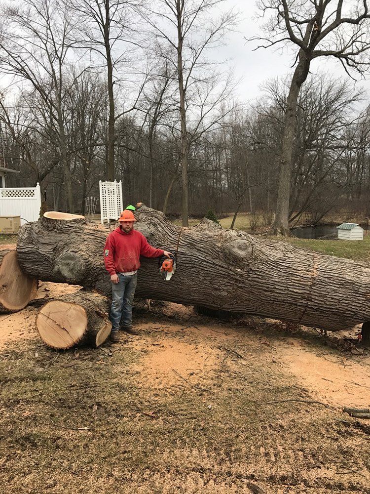 A person standing next to a pile of cut down trees — Dowagiac, MI — Williams A-1 Expert Tree Service