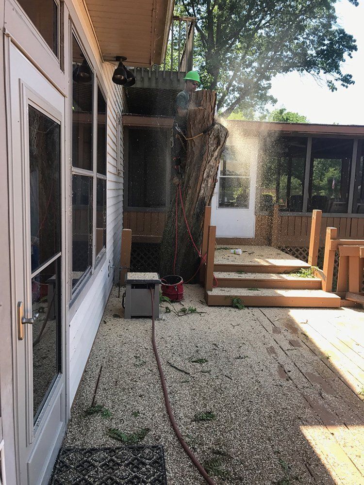 Man cutting a tree — Dowagiac, MI — Williams A-1 Expert Tree Service