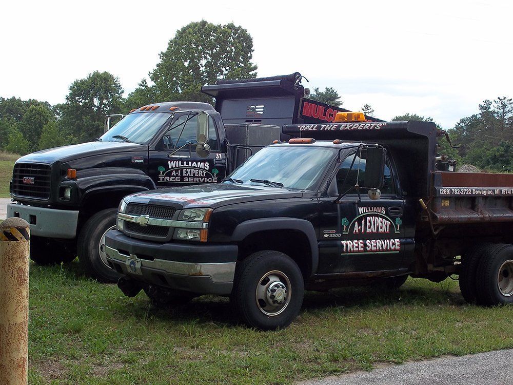 A black truck with a trailer — Dowagiac, MI — Williams A-1 Expert Tree Service