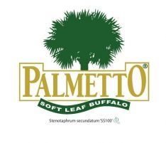 Palmetto soft leaf buffalo, shade grass, Brisbane, Ipswich Gold Coast and surrounds