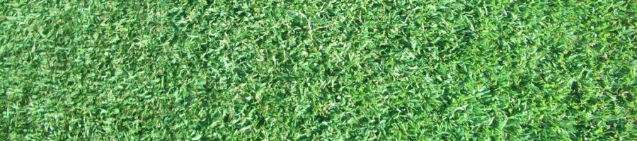 Active Turf Supplies for the best turf prices in Brisbane, Gold Coast and surrounds