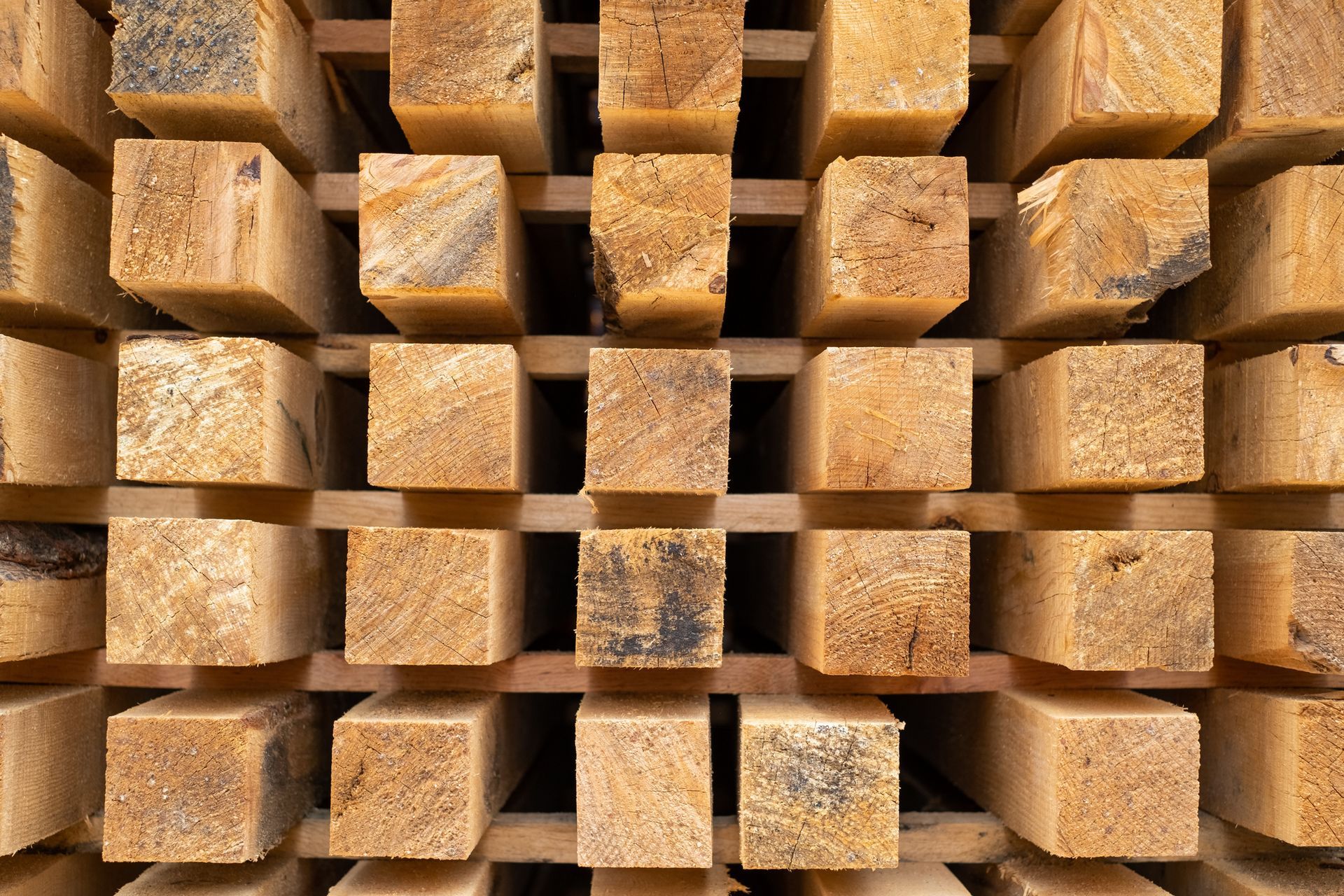 Strips of wood, timber, organized in a woodshop Strips of wood, timber, organized in a woodshop